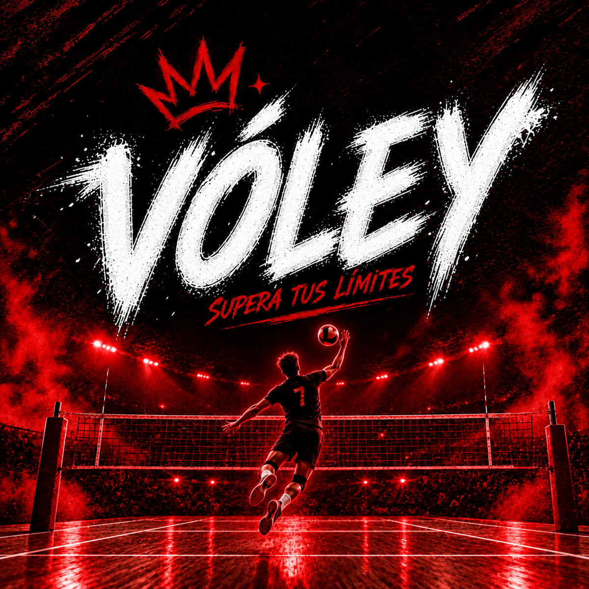 Vóley Disponible